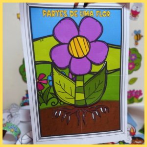 CARTAZ - PARTES DE UMA FLOR