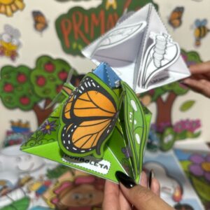 Ciclo de vida da borboleta